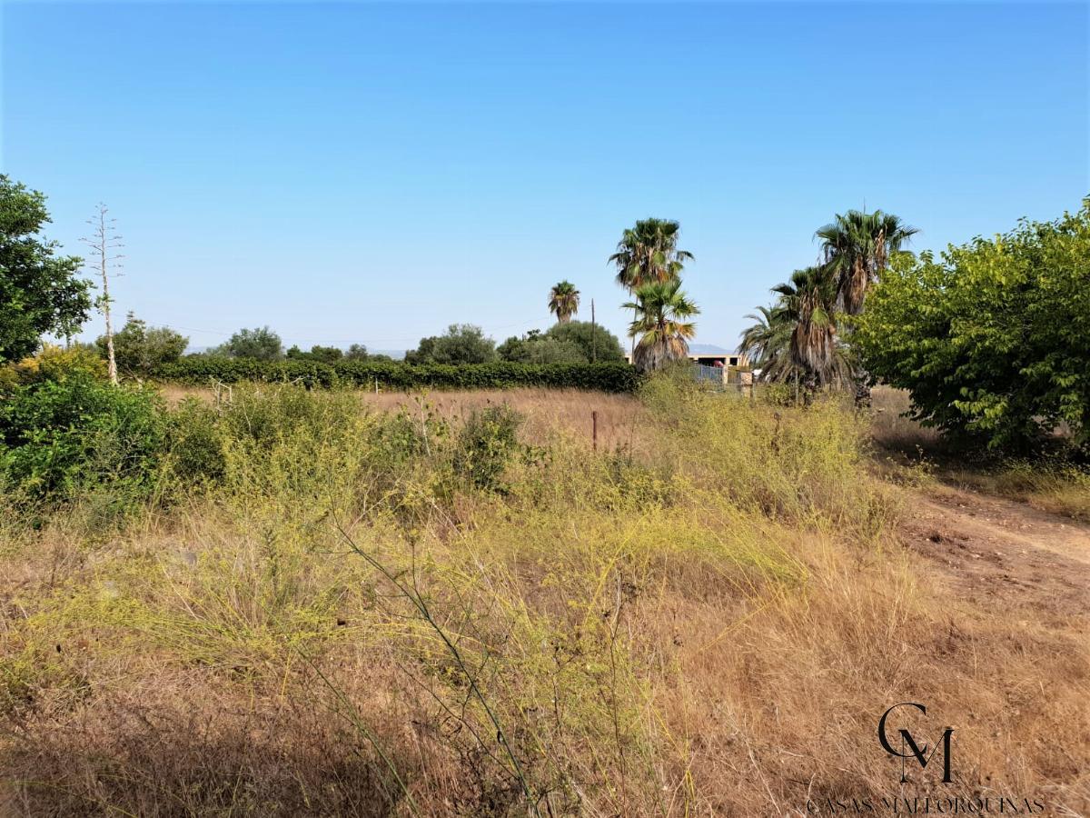 For sale of rural property in Felanitx