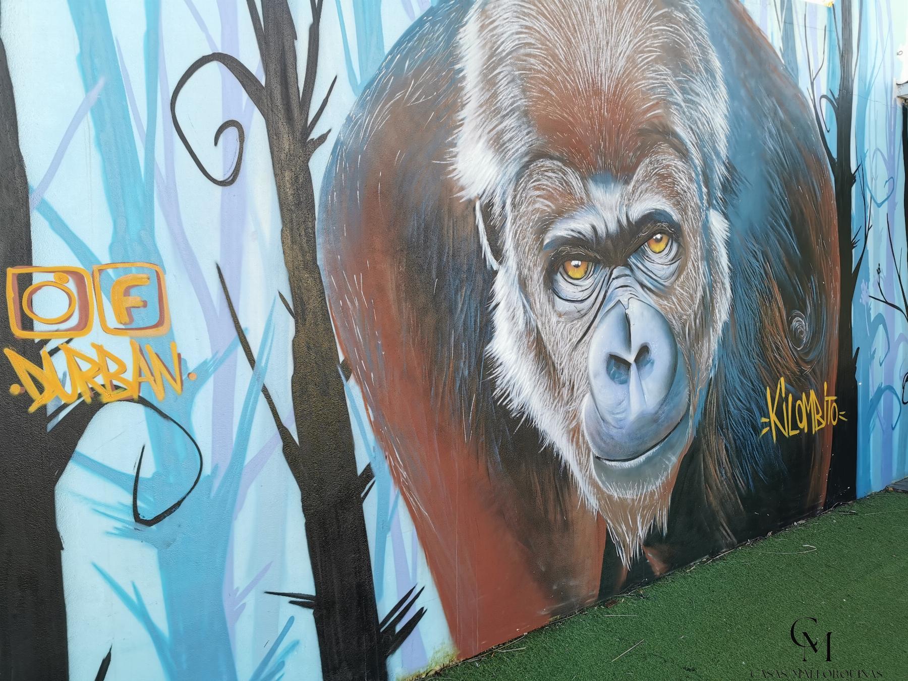 Zu verkaufen von ladenlokal in
 Muro
