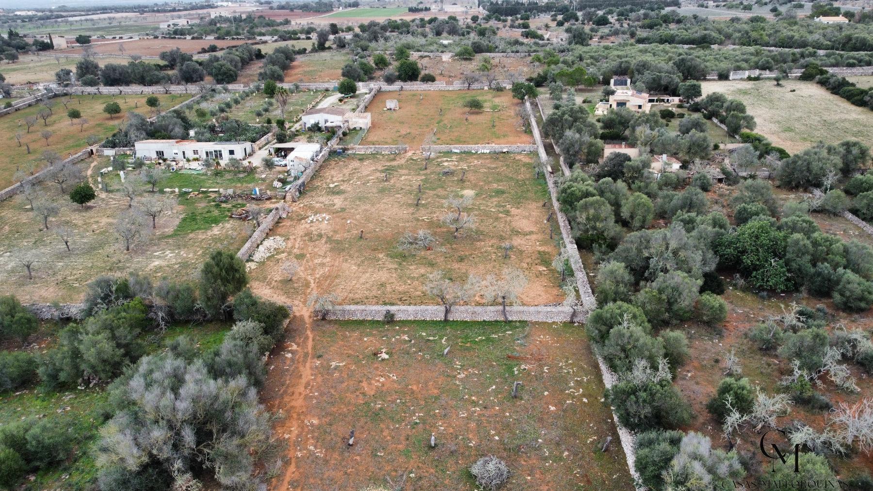 For sale of land in Santa Margalida