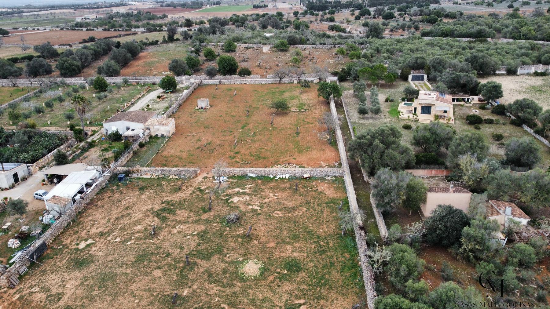 For sale of land in Santa Margalida