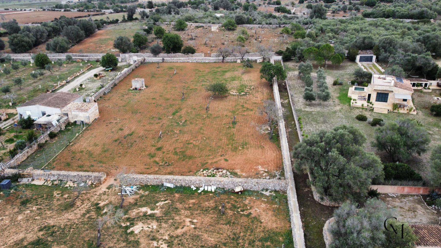 For sale of land in Santa Margalida
