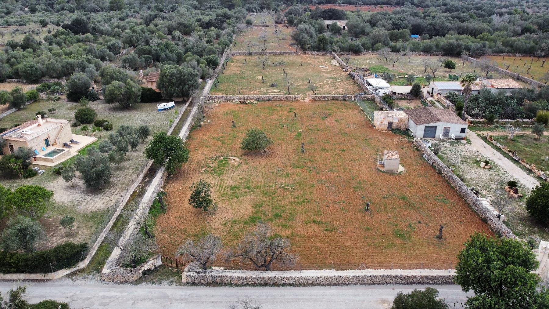 For sale of land in Santa Margalida