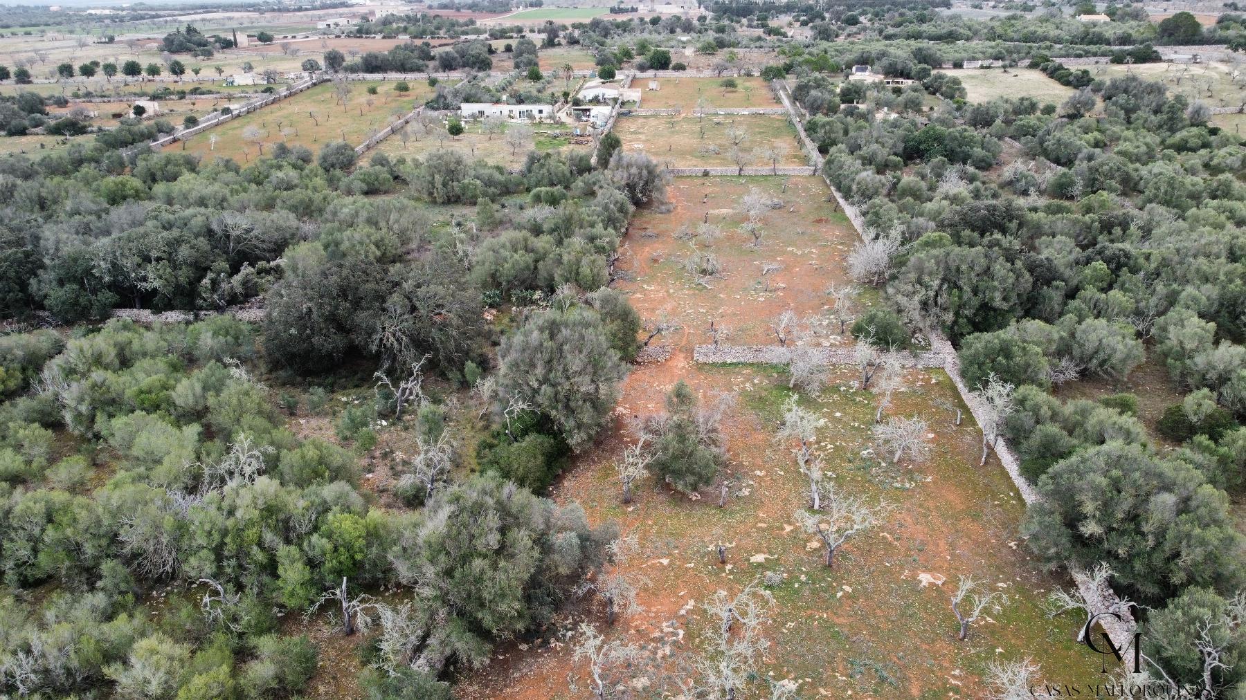 For sale of land in Santa Margalida