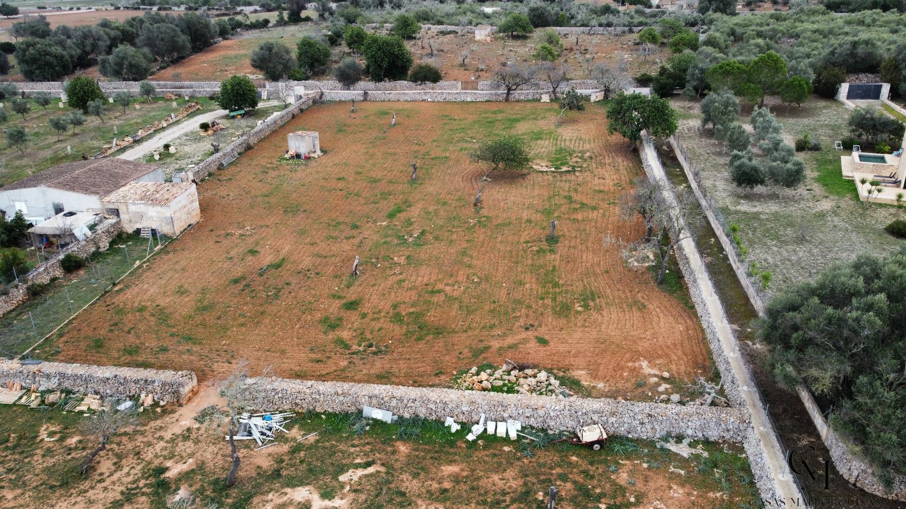For sale of land in Santa Margalida
