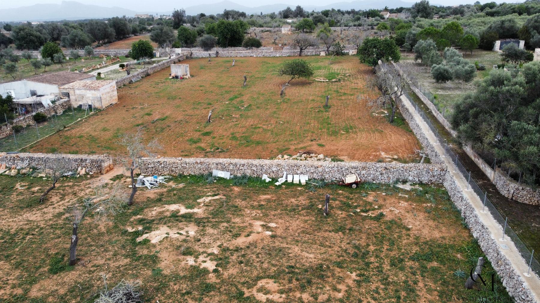 For sale of land in Santa Margalida