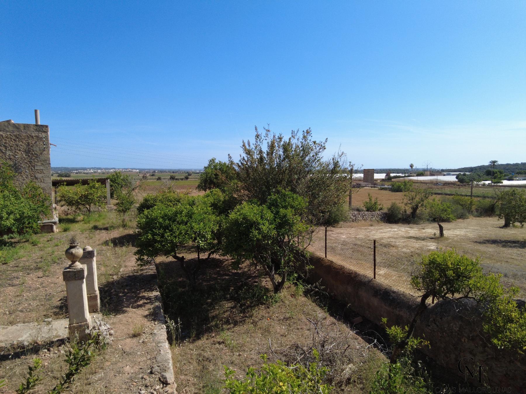 Zu verkaufen von chalet in
 Palma de Mallorca