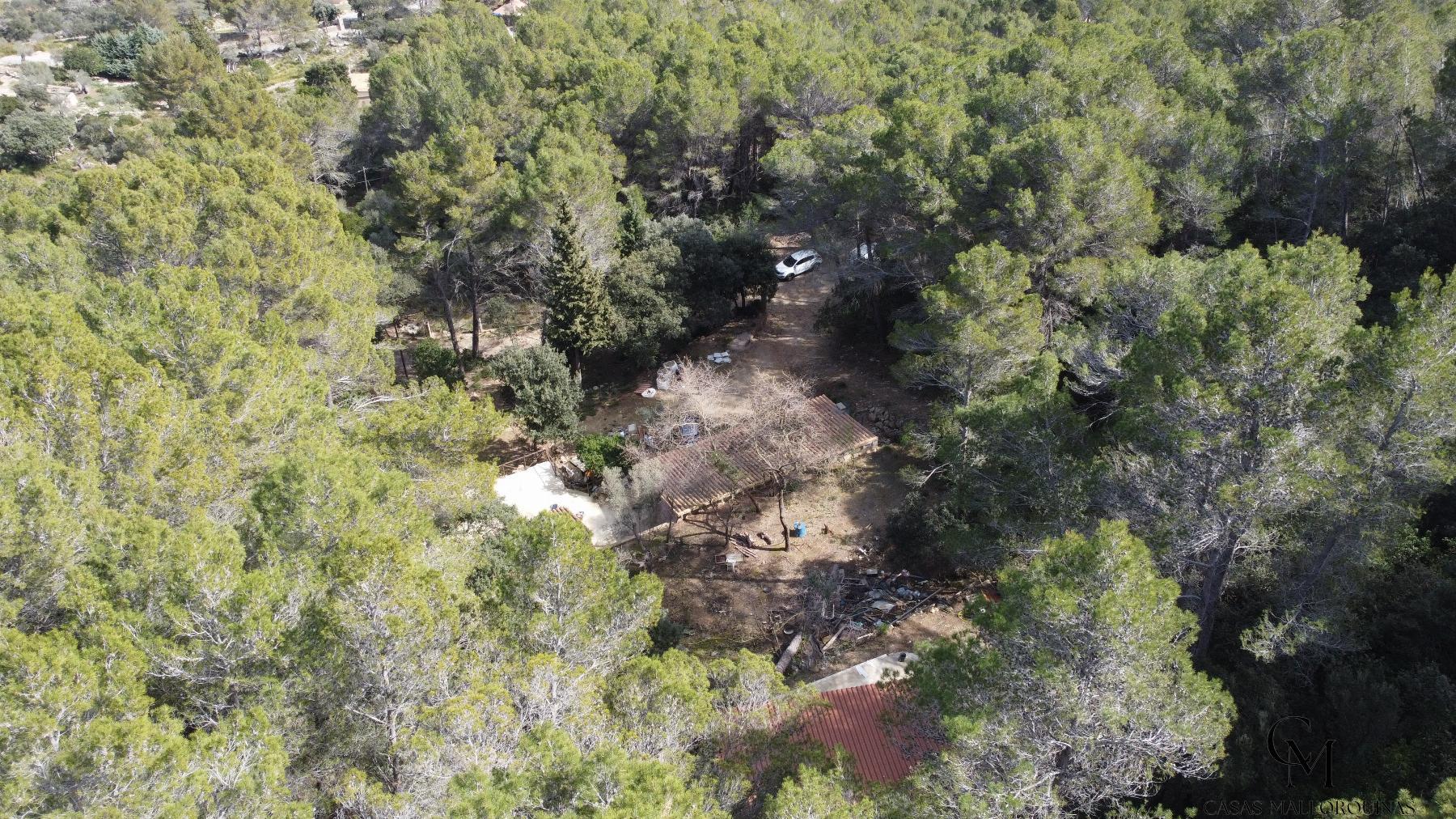 For sale of rural property in Puigpunyent