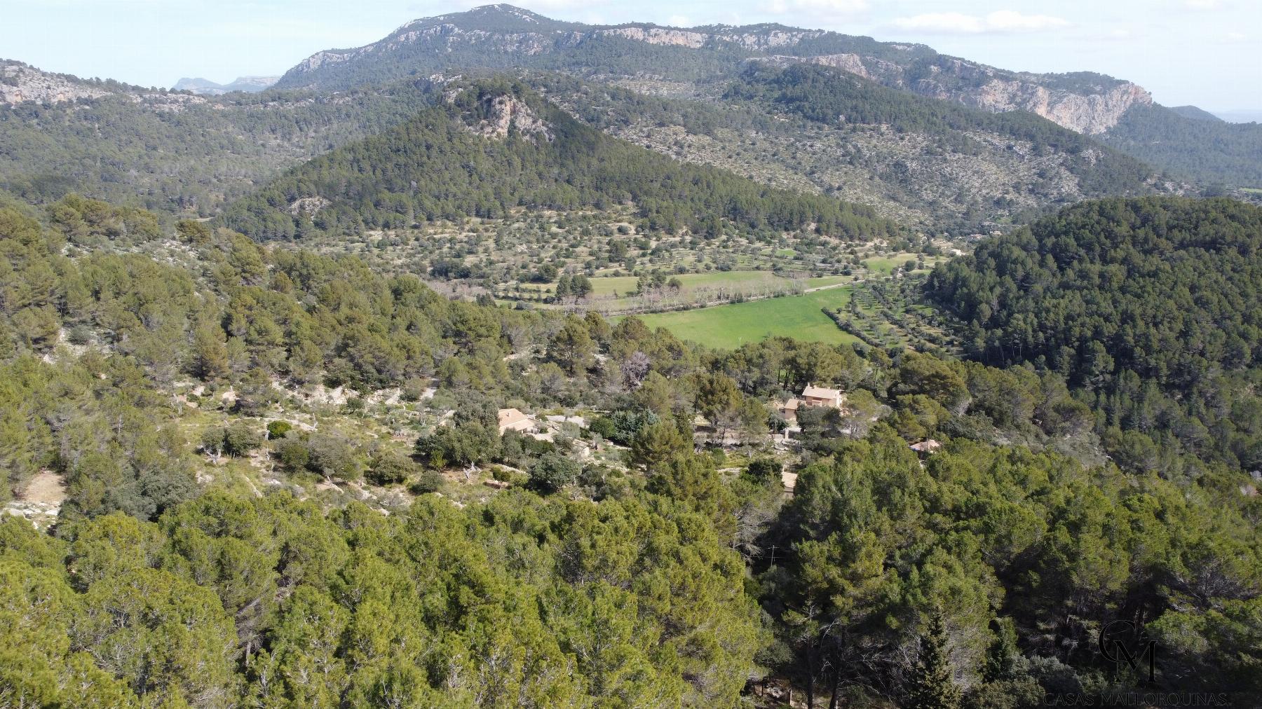 For sale of rural property in Puigpunyent