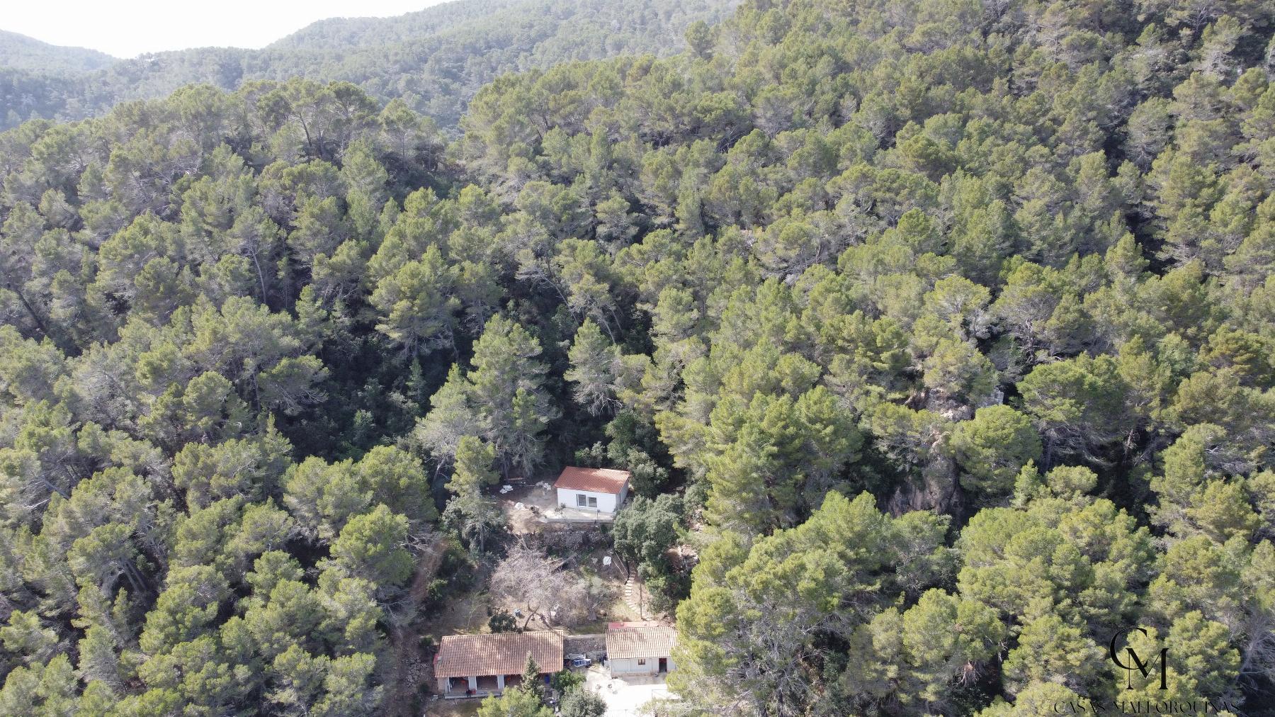 For sale of rural property in Puigpunyent