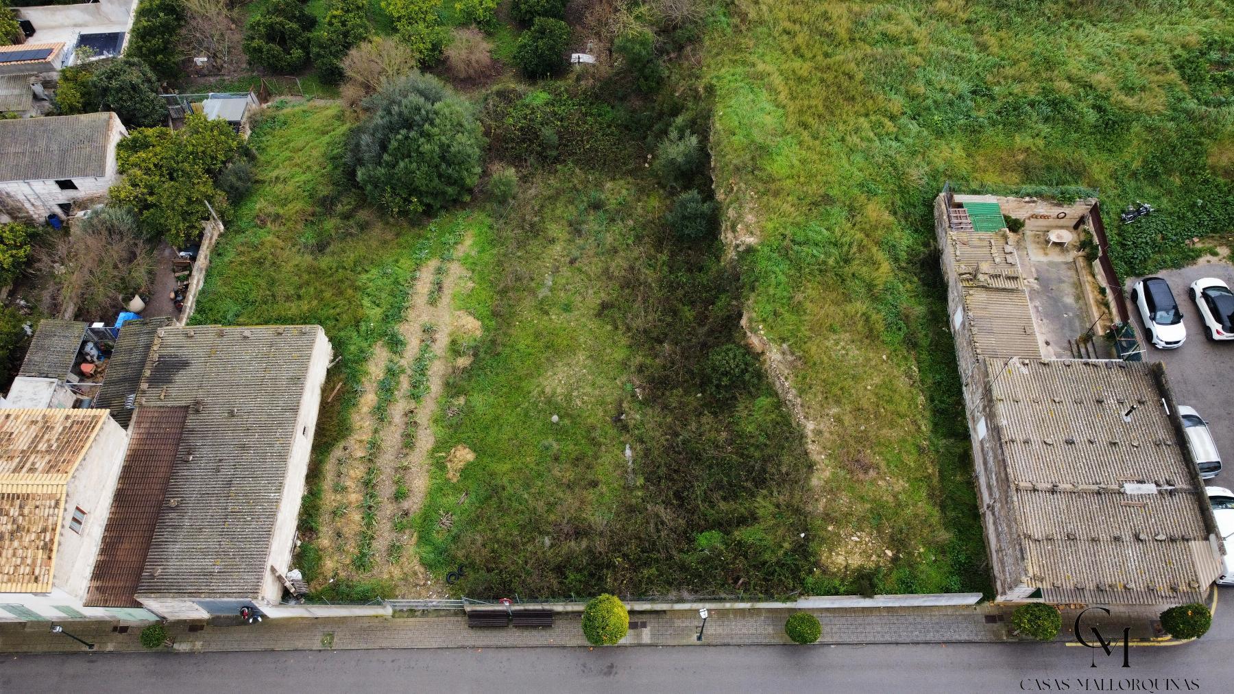 Venta de terreno en Santa Margalida