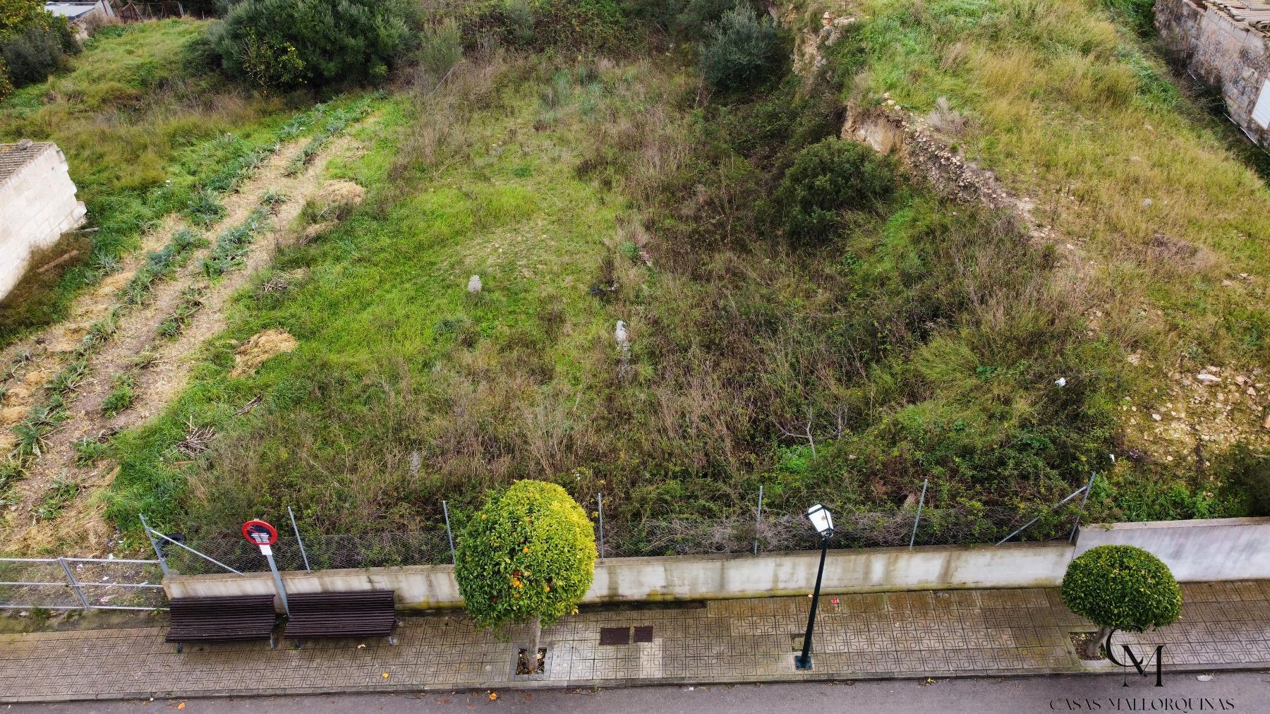 Venta de terreno en Santa Margalida