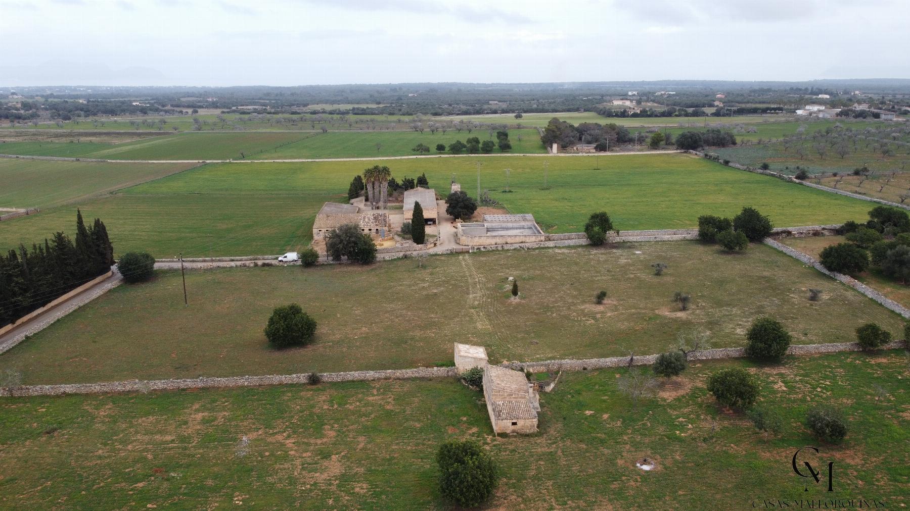 Venta de terreno en Santa Margalida