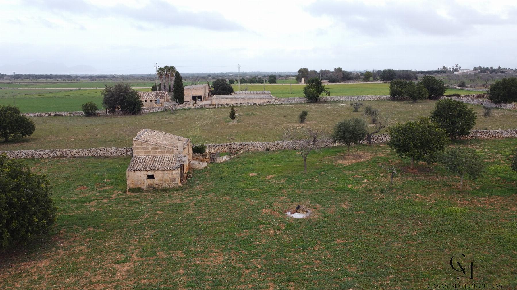 Venta de terreno en Santa Margalida