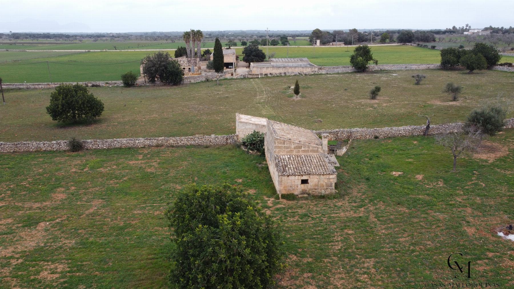 Venta de terreno en Santa Margalida