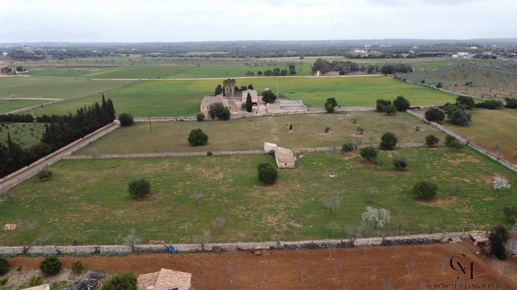 Venta de terreno en Santa Margalida