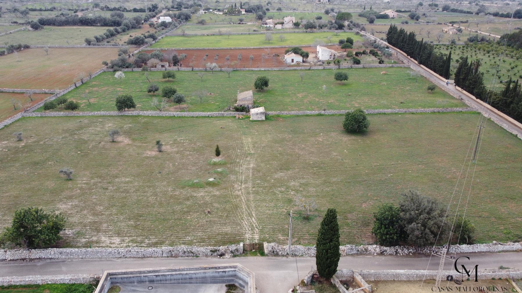 Venta de terreno en Santa Margalida