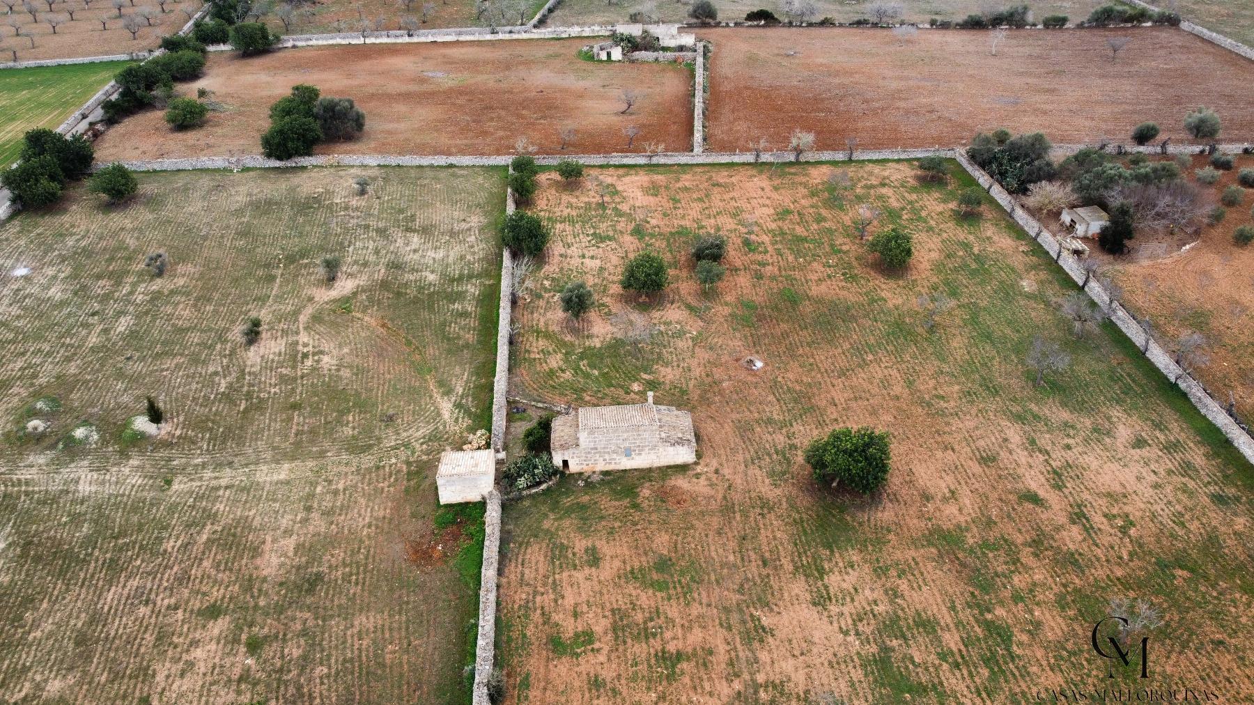 Venta de terreno en Santa Margalida
