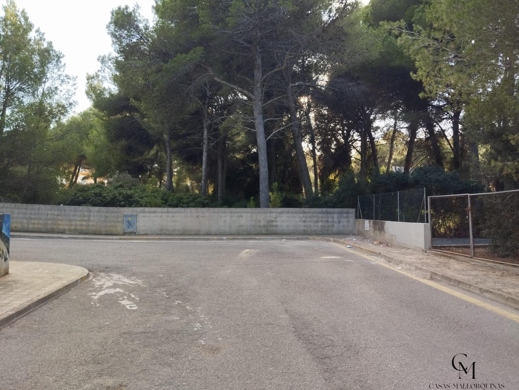 For sale of land in Can Picafort
