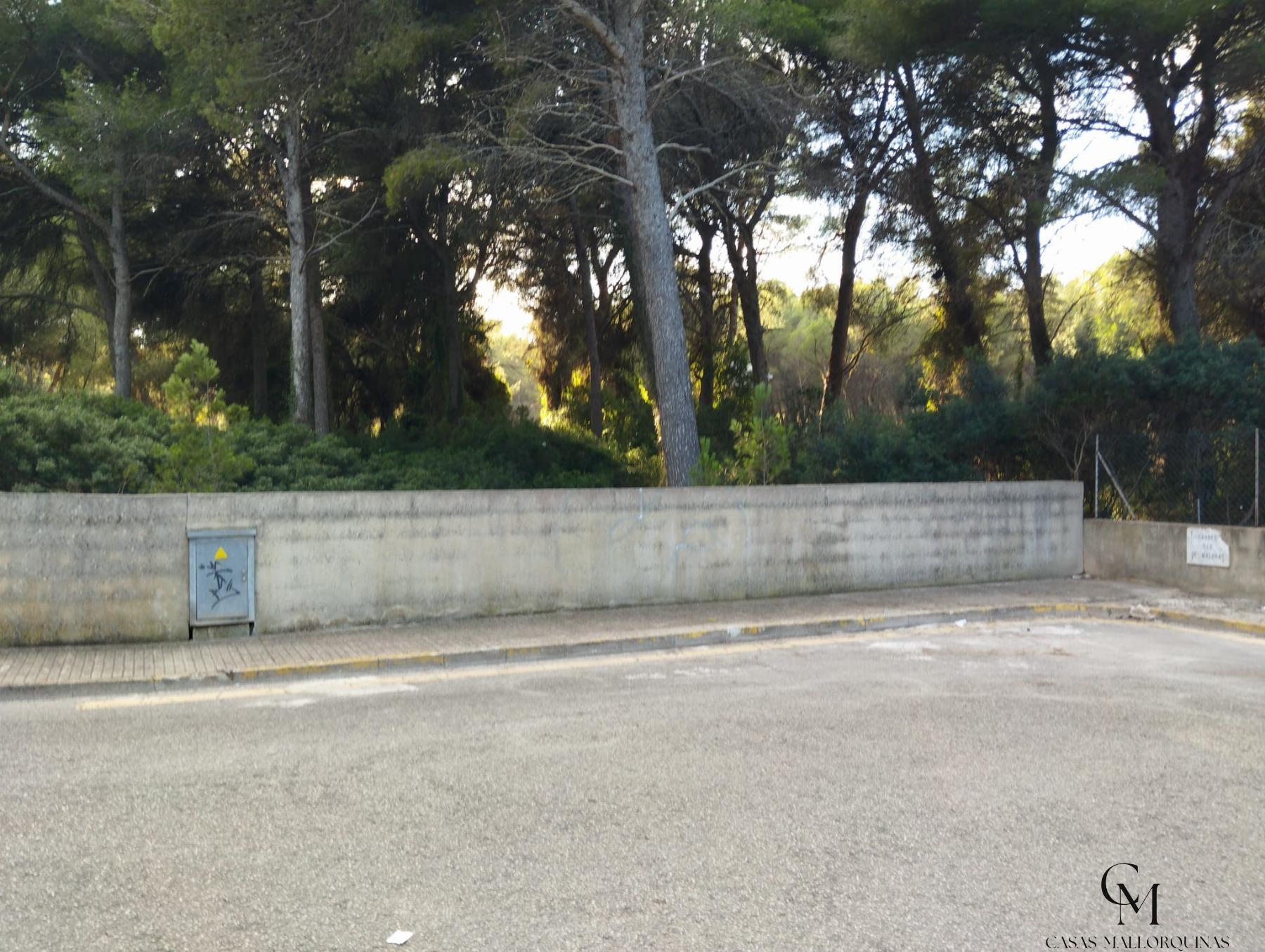 For sale of land in Can Picafort