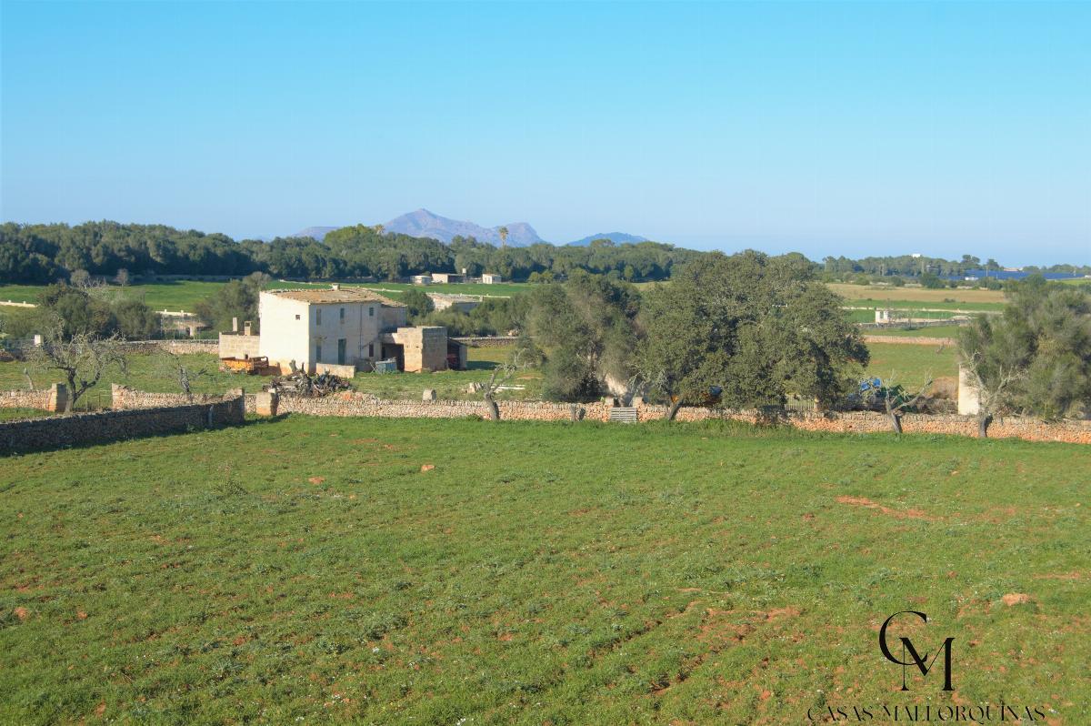 For sale of chalet in Santa Margalida