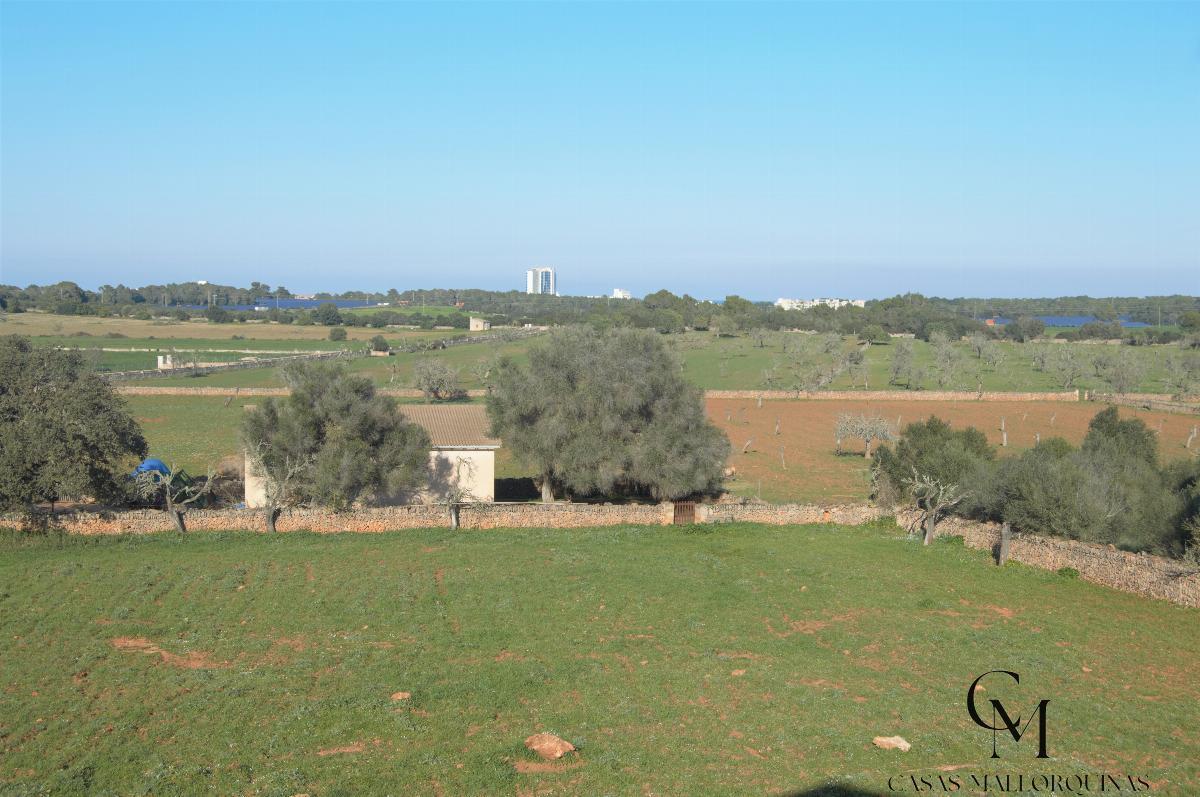 For sale of chalet in Santa Margalida