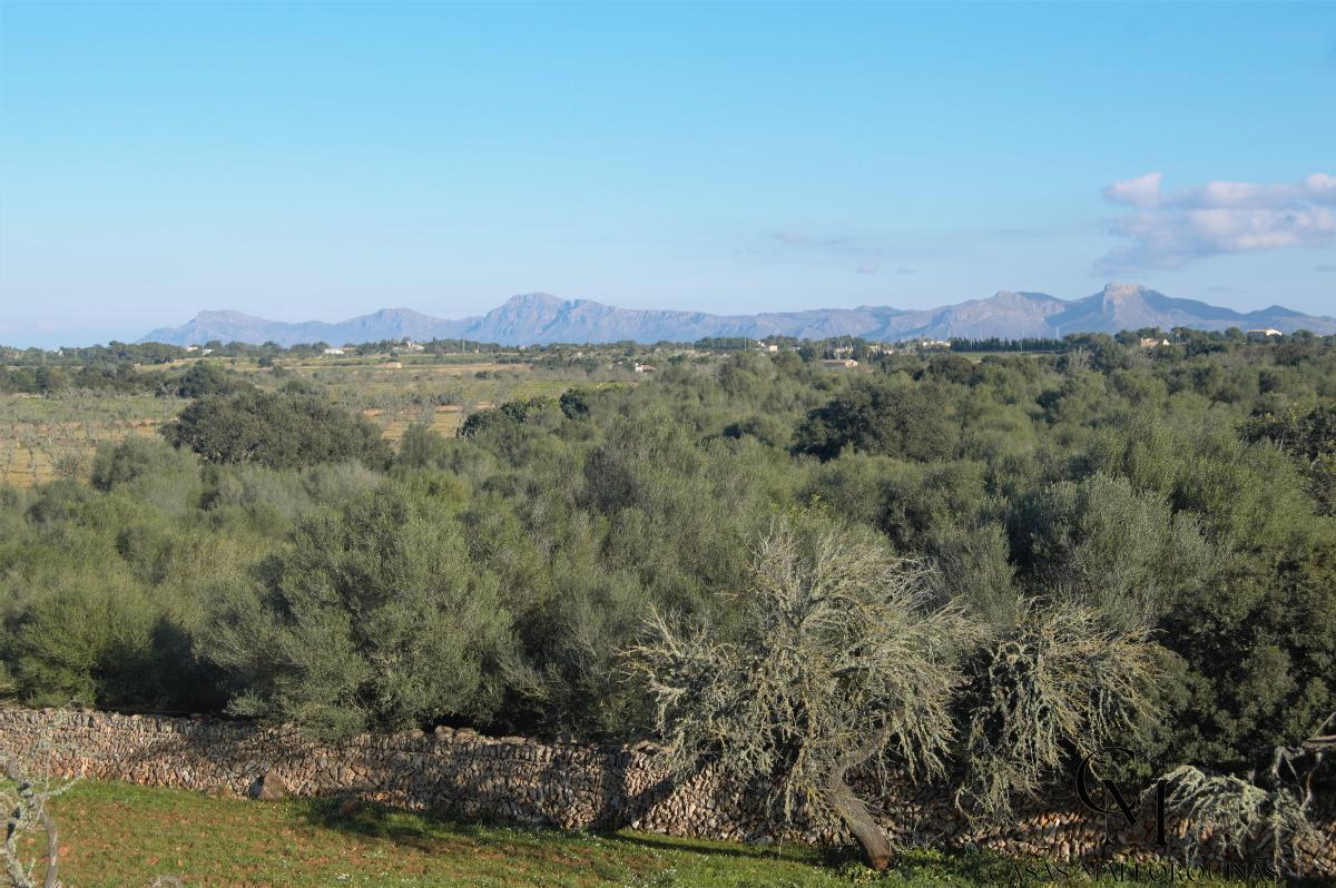 For sale of chalet in Santa Margalida