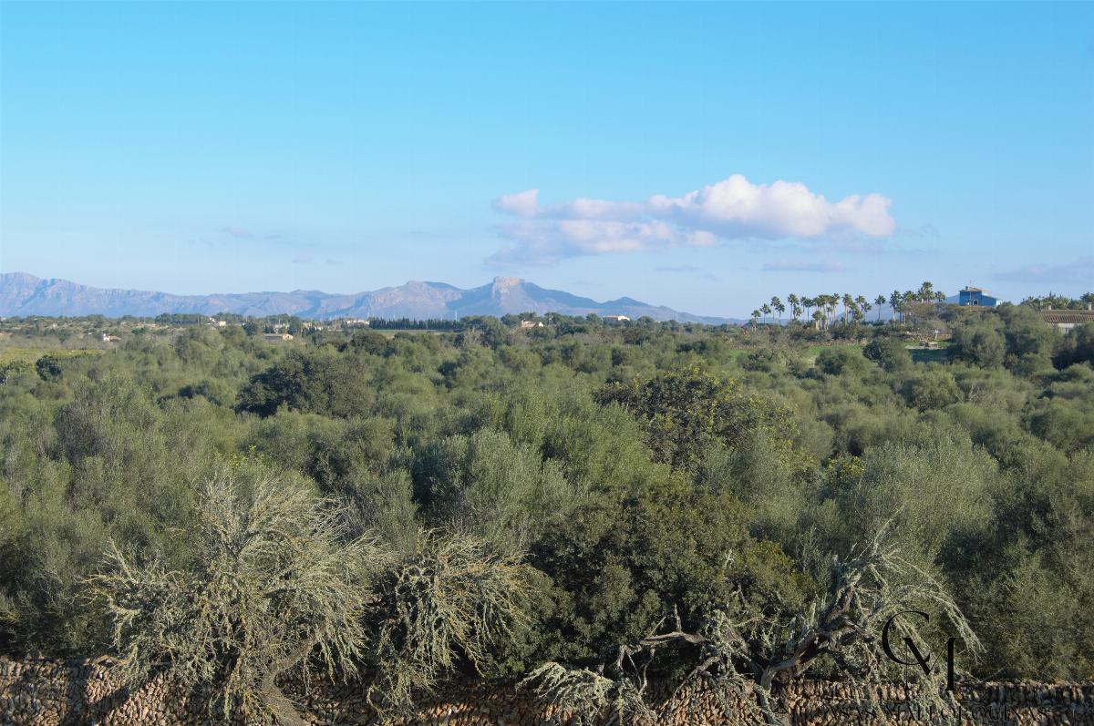 For sale of chalet in Santa Margalida