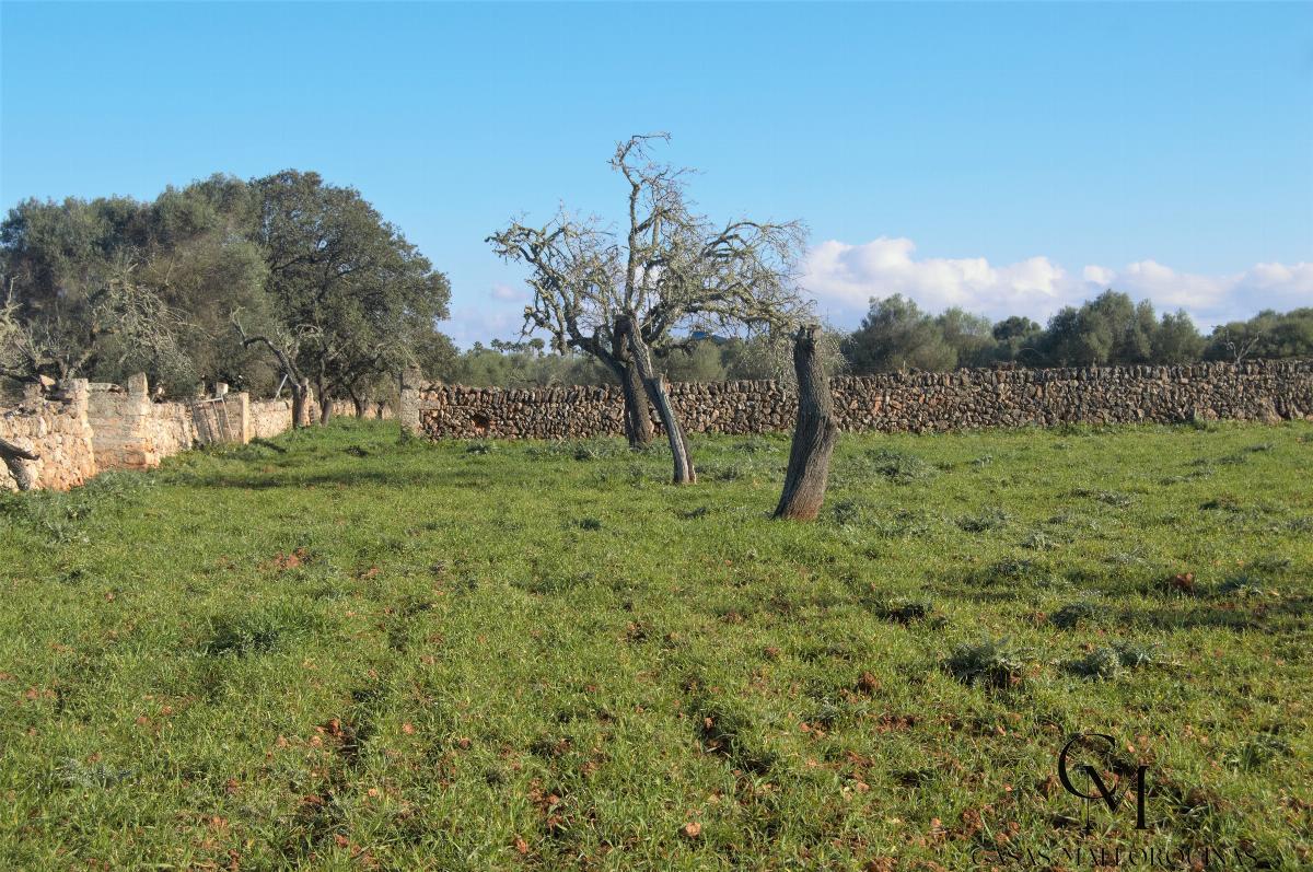 For sale of chalet in Santa Margalida