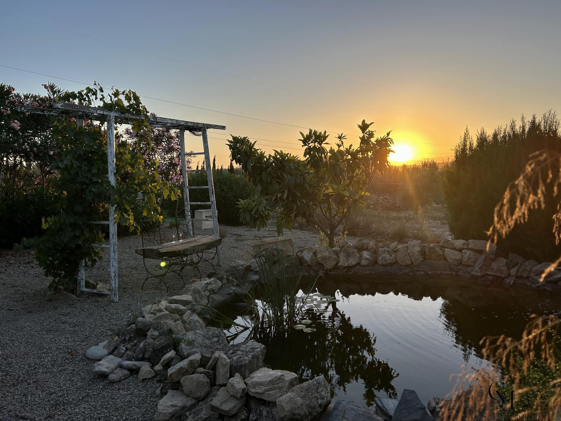 For sale of chalet in Sineu