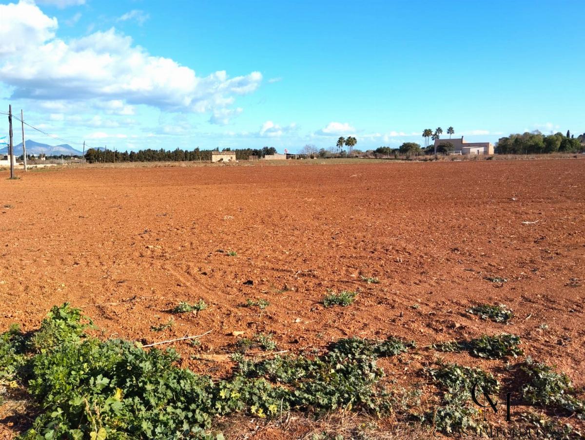 Venta de chalet en Muro