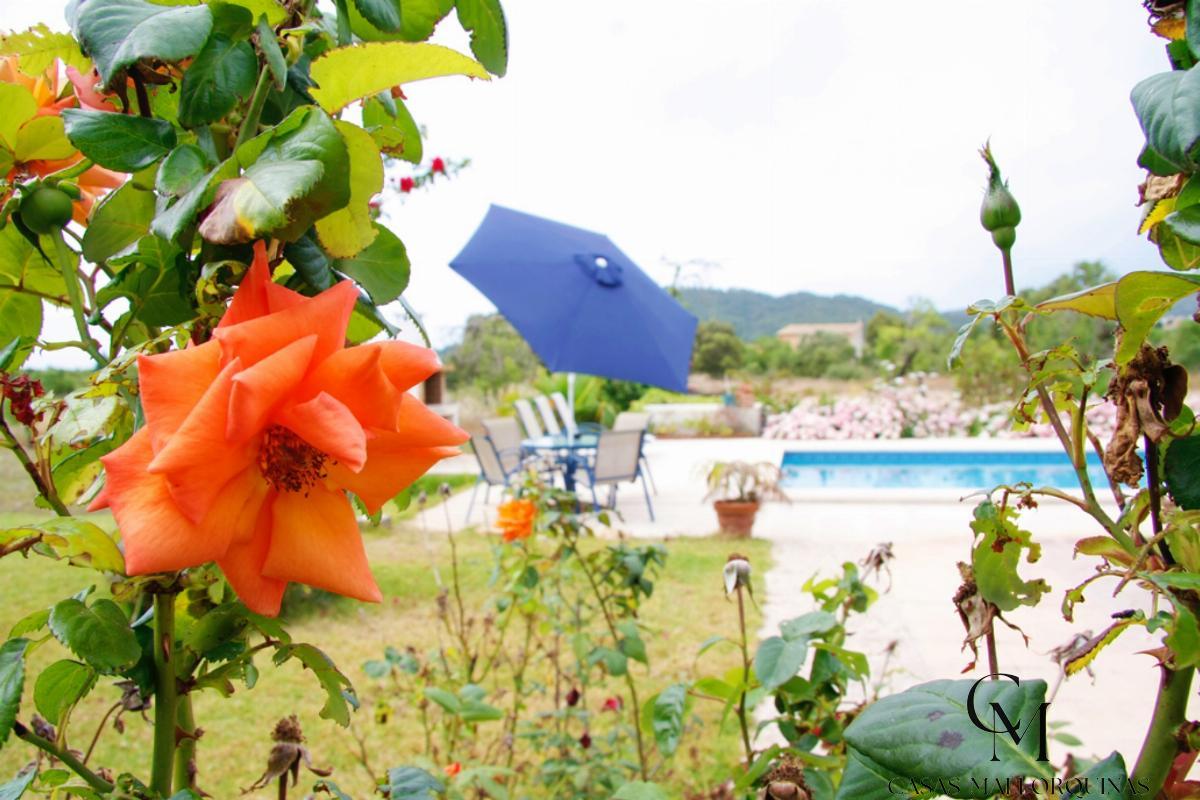 For sale of chalet in Son Servera