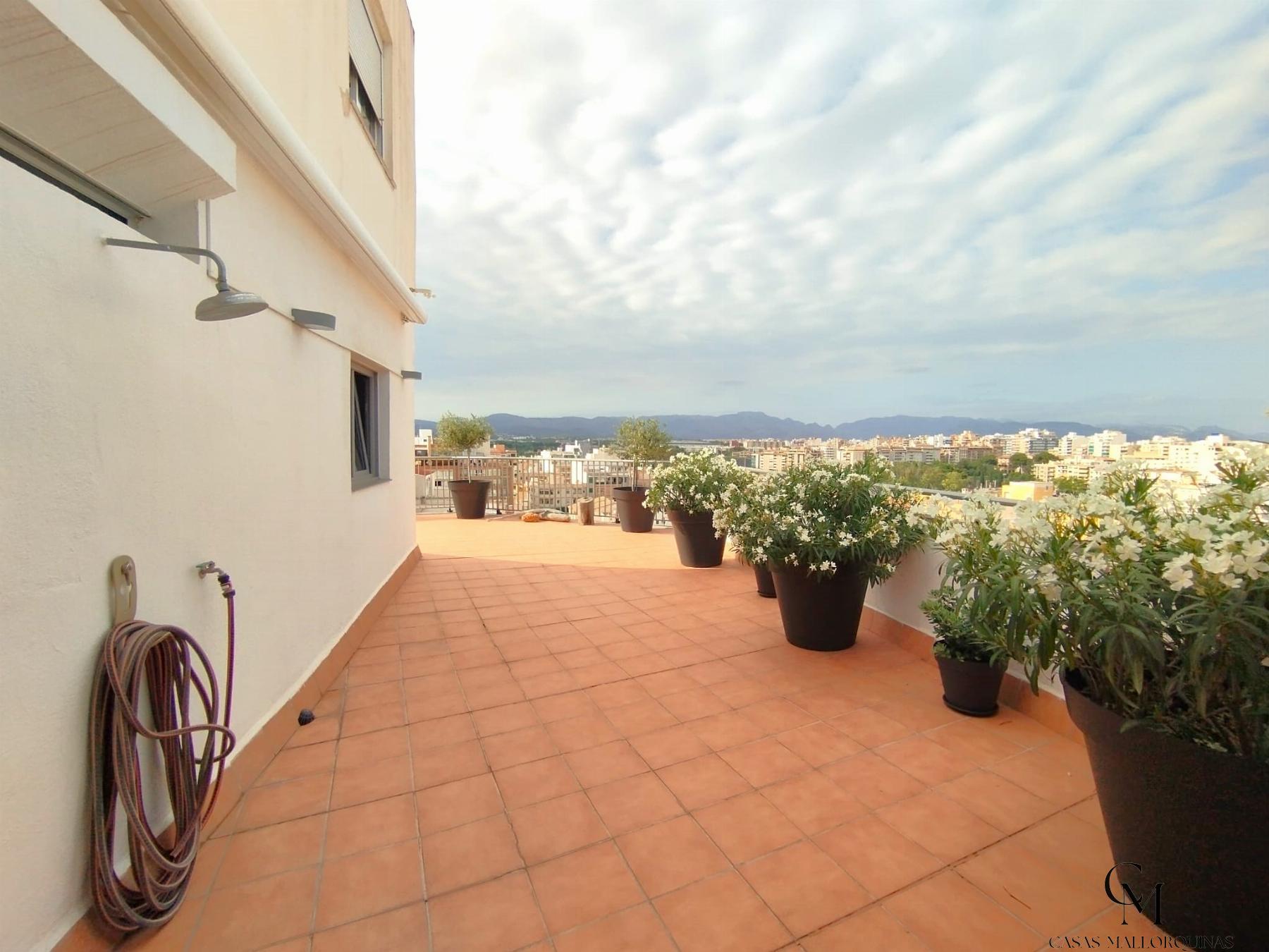 Venta de Ático en Palma de Mallorca Venta de Ático en Palma de Mallorca