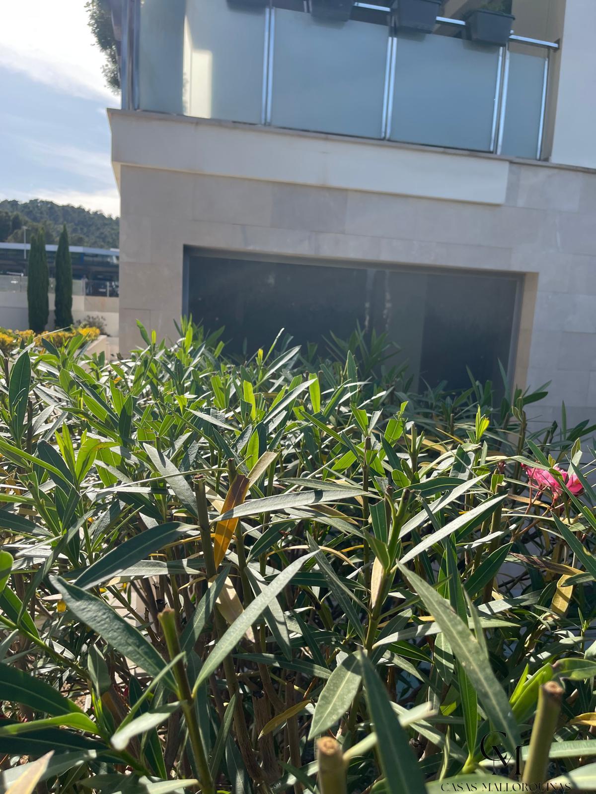 Venta de local en Calvià