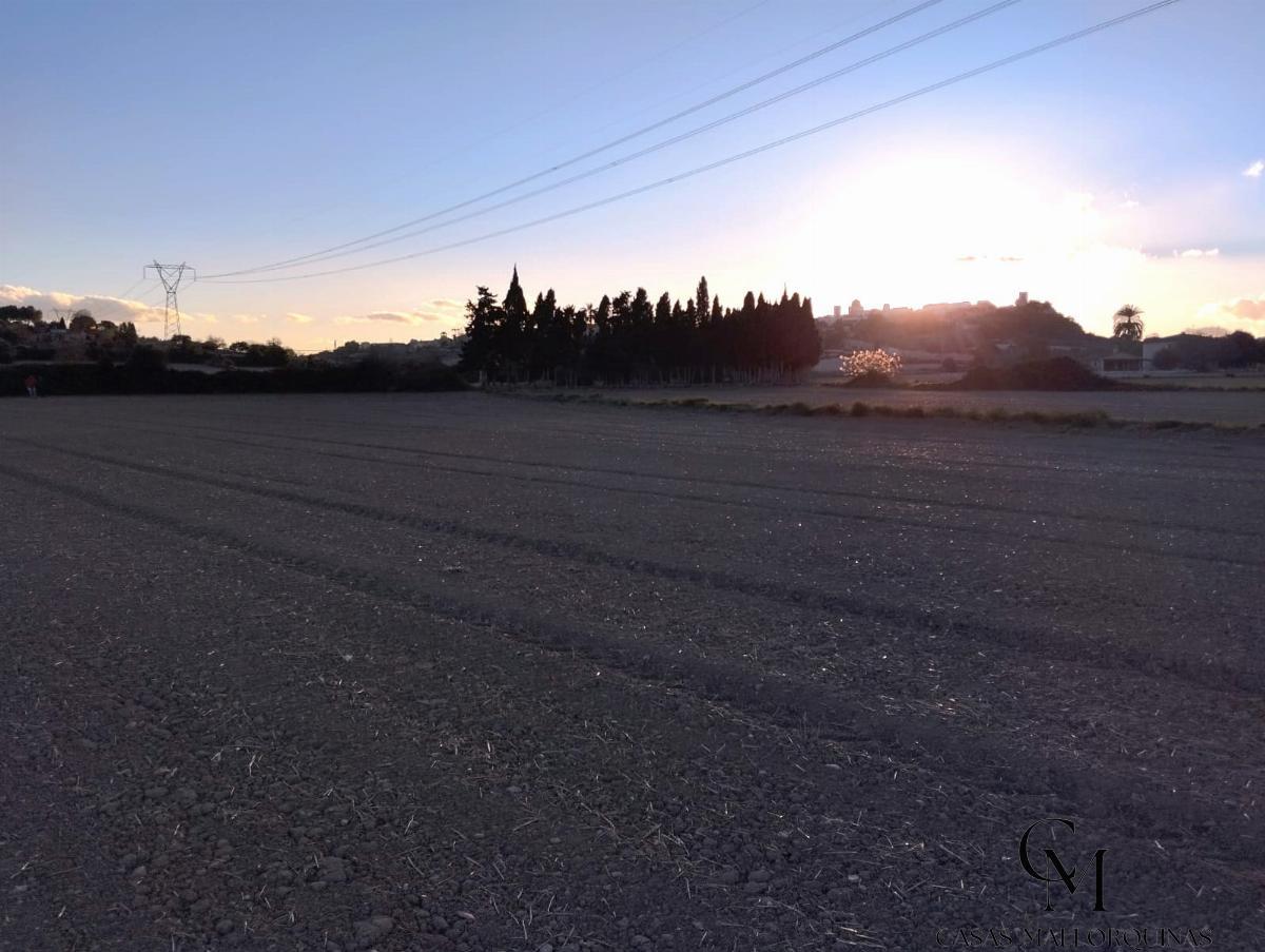 For sale of land in Muro