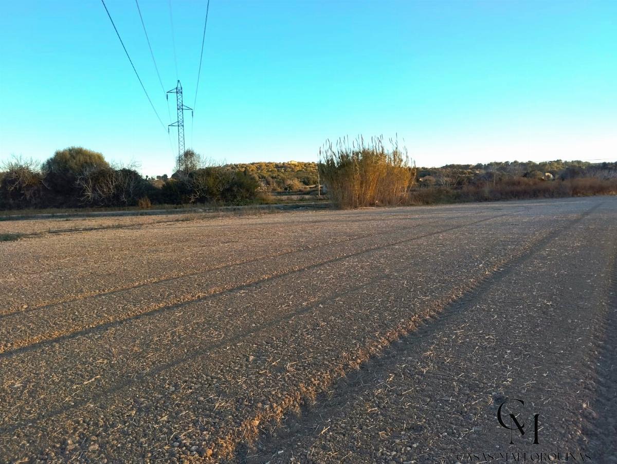 For sale of land in Muro