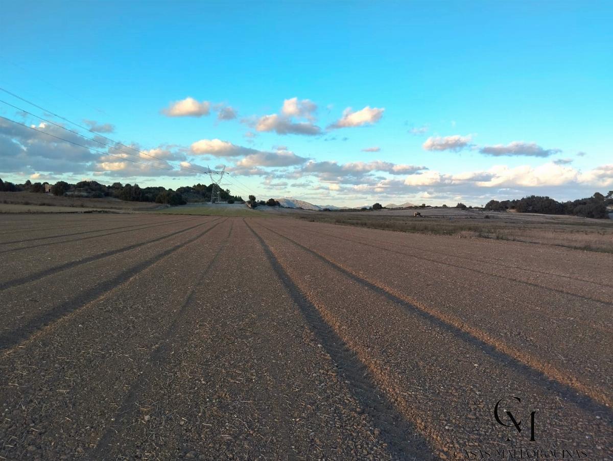 For sale of land in Muro