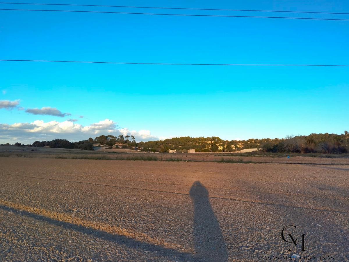 For sale of land in Muro