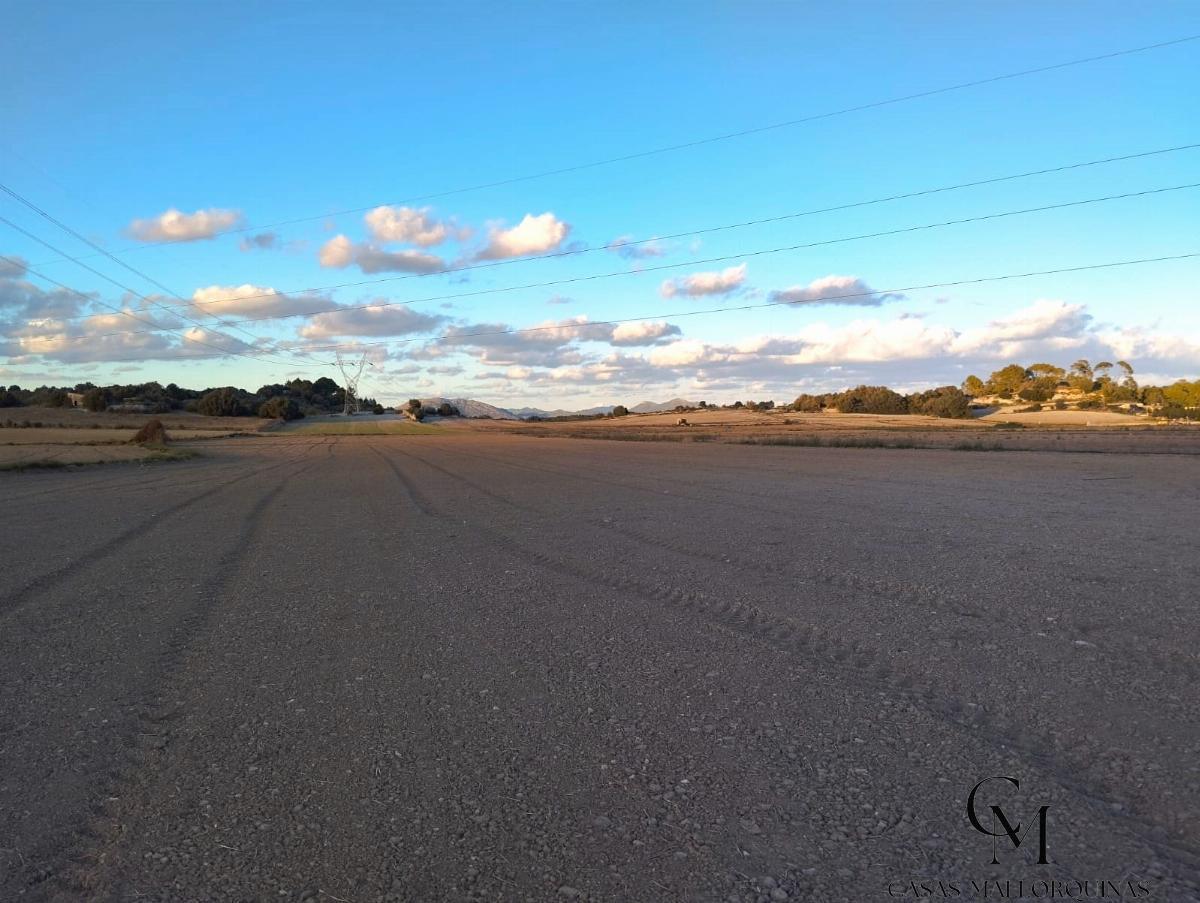 For sale of land in Muro