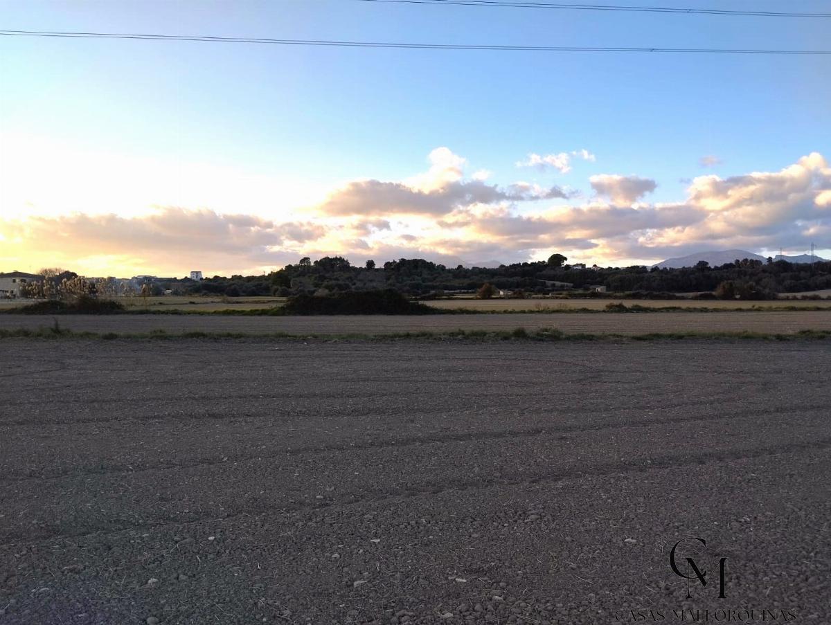 For sale of land in Muro