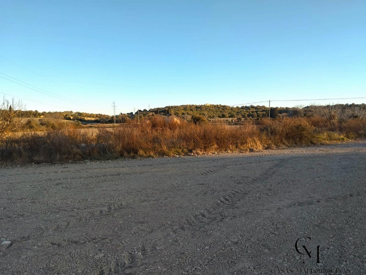 For sale of land in Muro