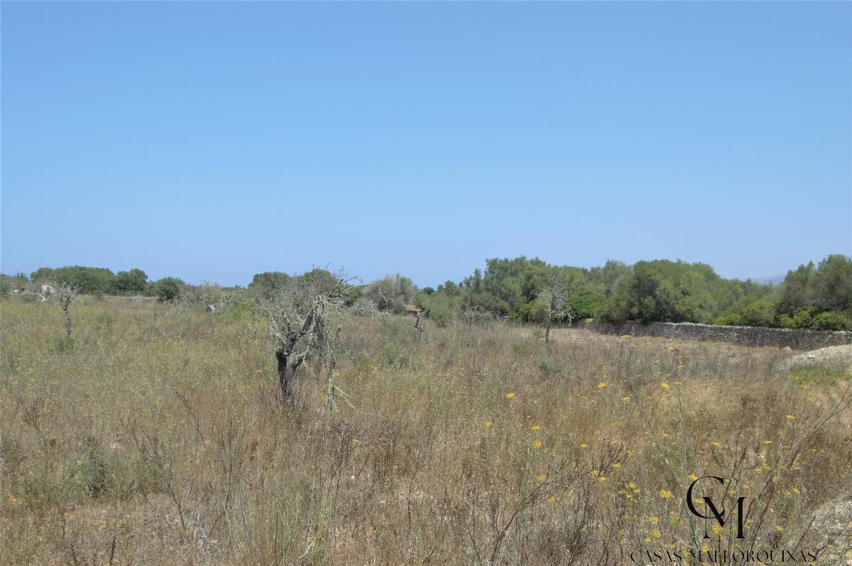 For sale of land in Santa Margalida