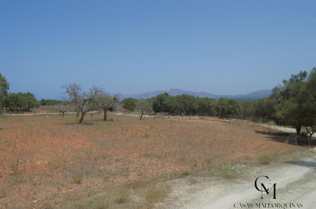For sale of land in Santa Margalida