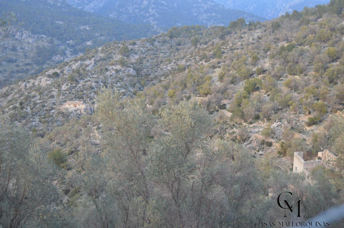 Zu verkaufen von grundstück in
 Mancor de la Vall