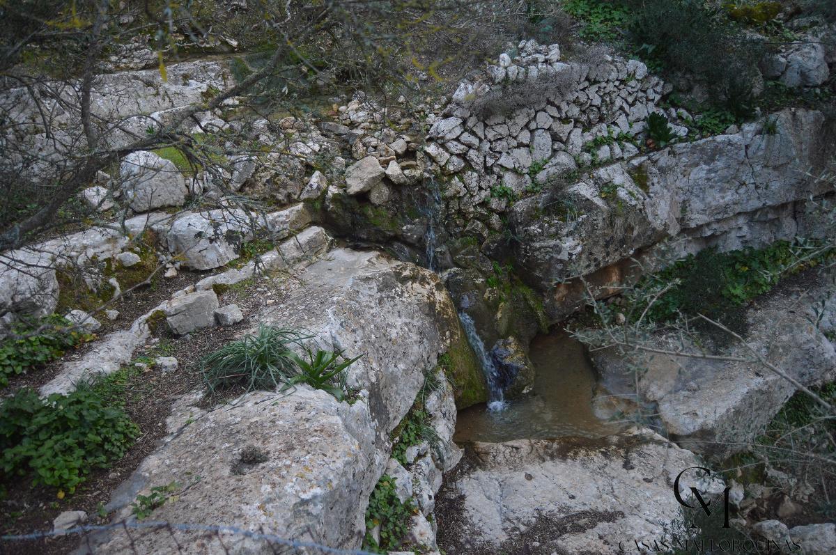 Zu verkaufen von grundstück in
 Mancor de la Vall