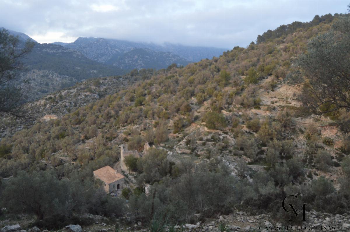 Zu verkaufen von grundstück in
 Mancor de la Vall