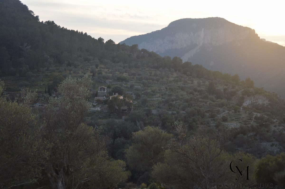 Zu verkaufen von grundstück in
 Mancor de la Vall