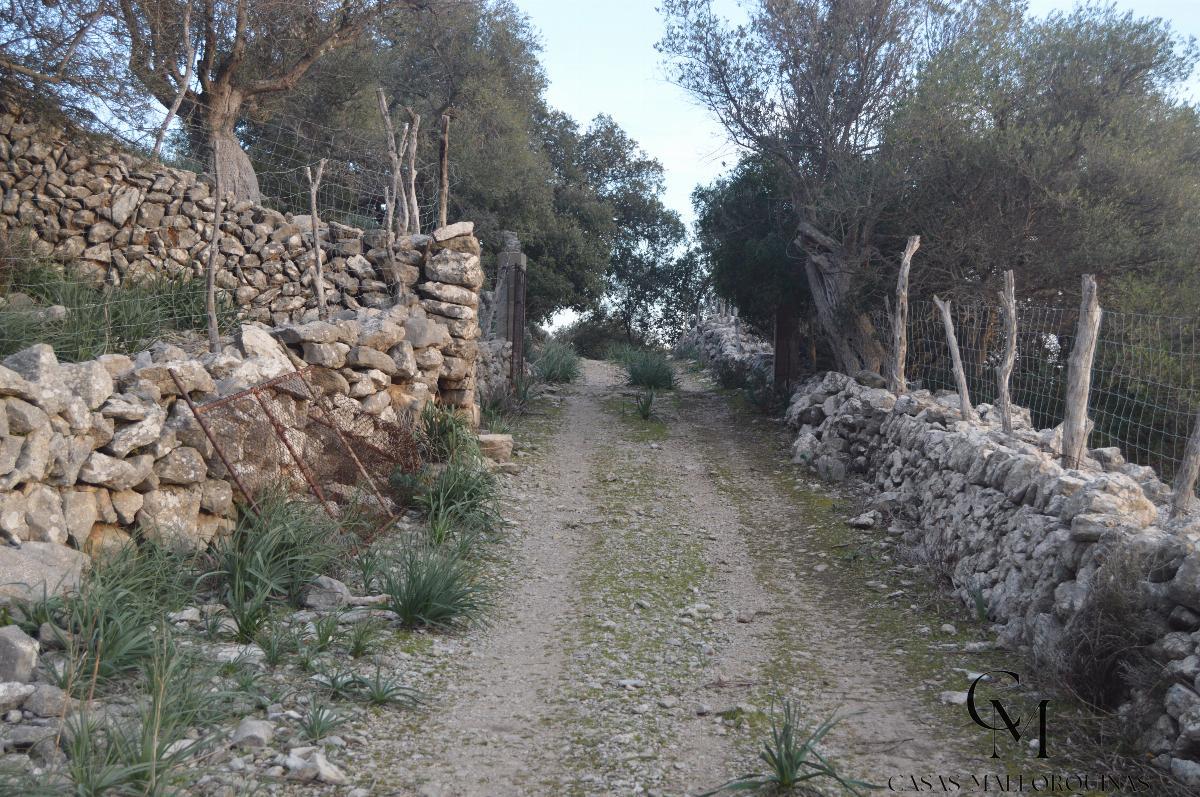 Zu verkaufen von grundstück in
 Mancor de la Vall