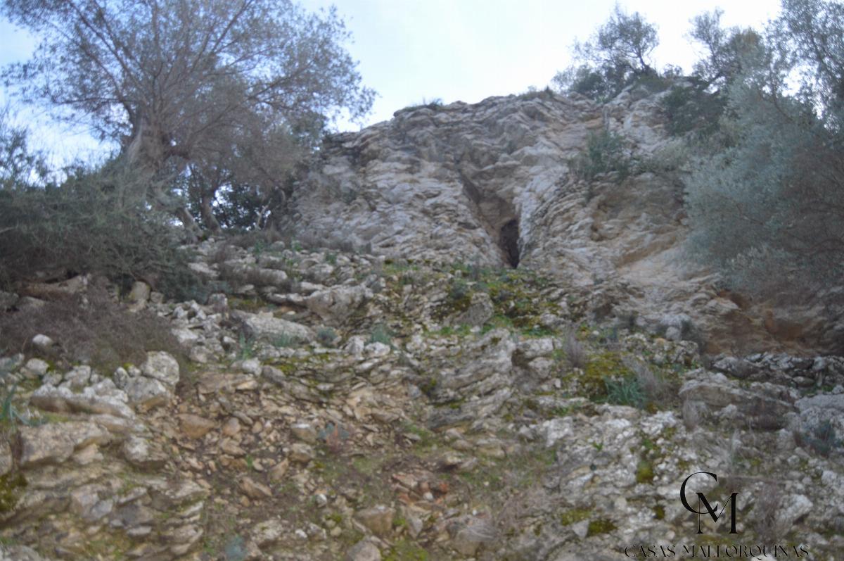 Zu verkaufen von grundstück in
 Mancor de la Vall