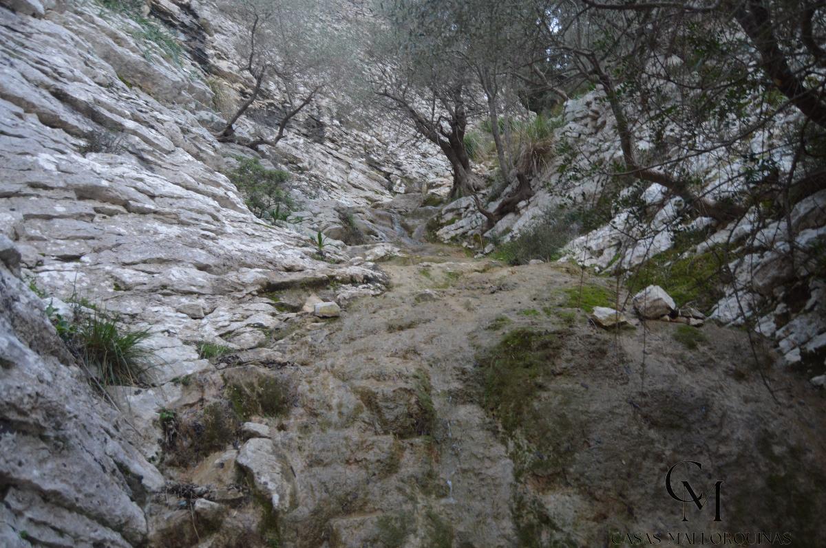 Zu verkaufen von grundstück in
 Mancor de la Vall
