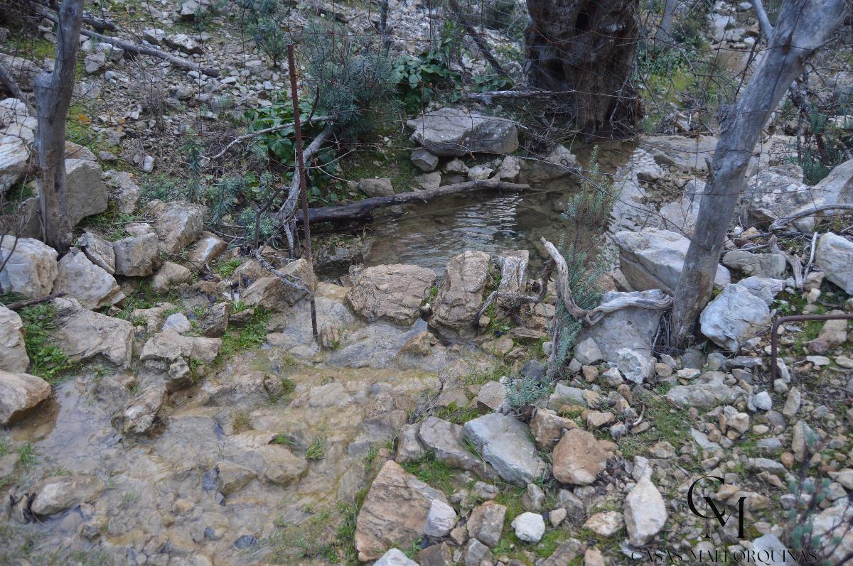 Zu verkaufen von grundstück in
 Mancor de la Vall